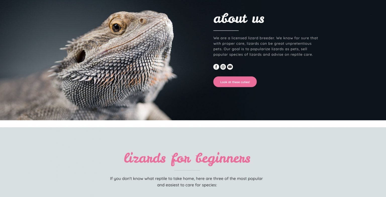 19 Best About Me Examples: How To Write a Killer About Me Page | Weblium