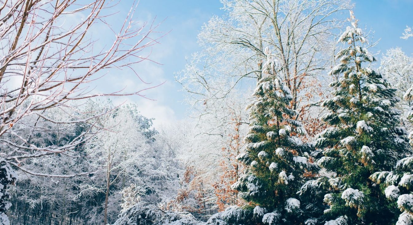 10 Great Winter Backgrounds for the Website