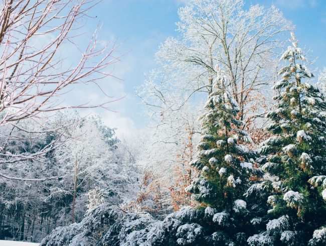 10 Great Winter Backgrounds for the Website