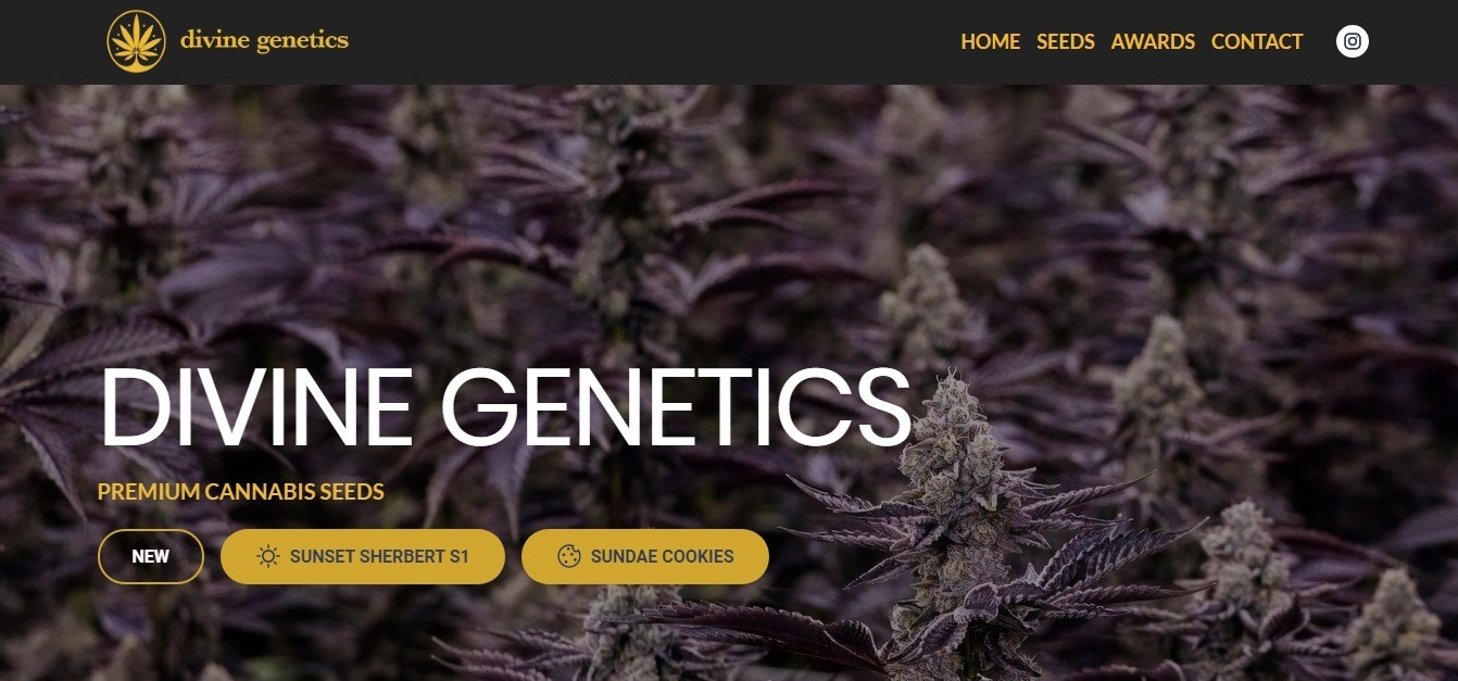  Divine Genetics Weblium seeds shop website example