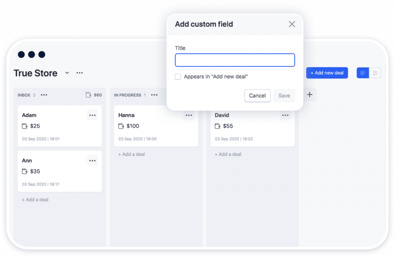 CRM Custom Fields 