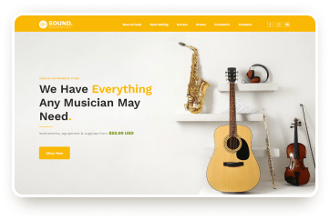 Musical instruments store