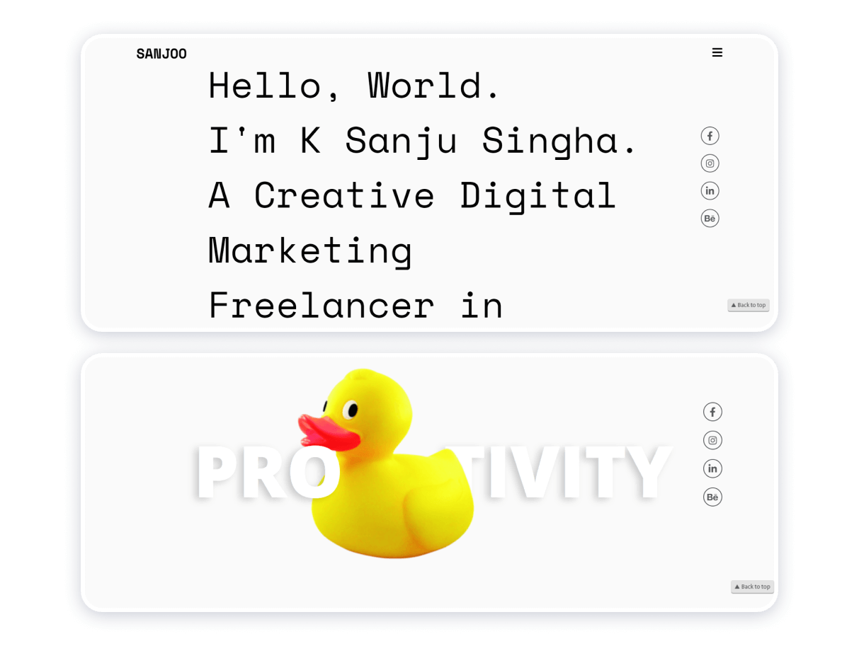 portfolio website programmer