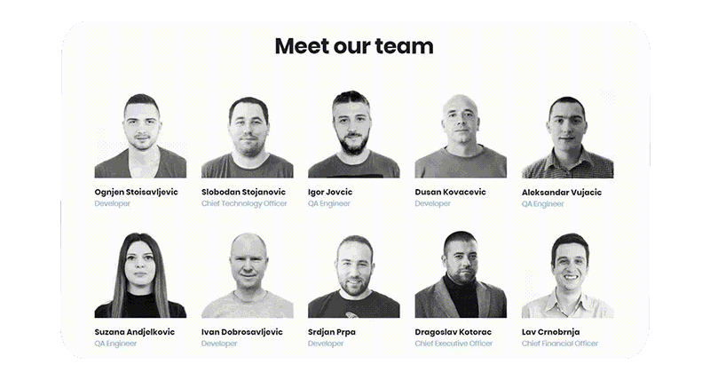 meet the team introduction examples