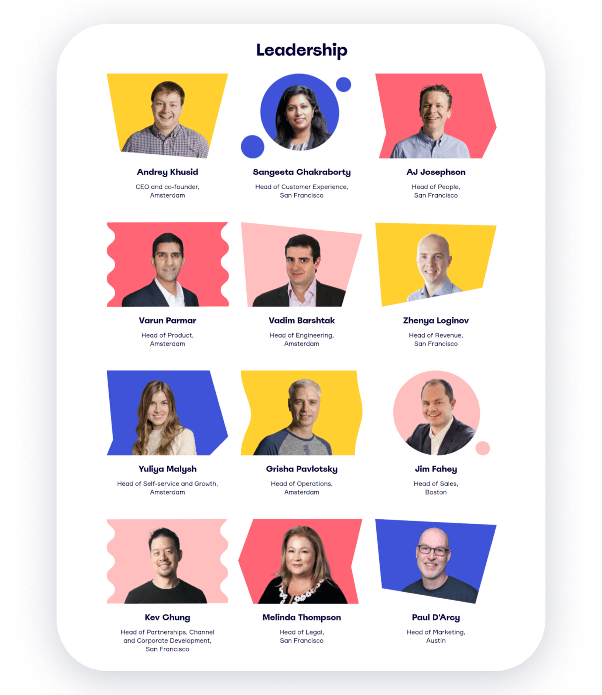 Meet the Team!