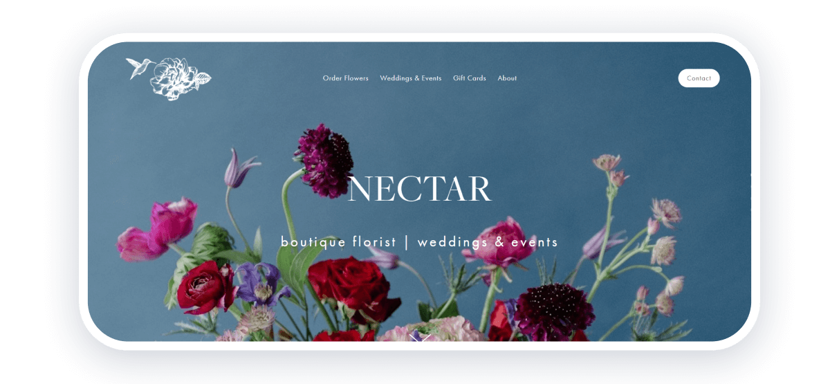 nectar best florist websites