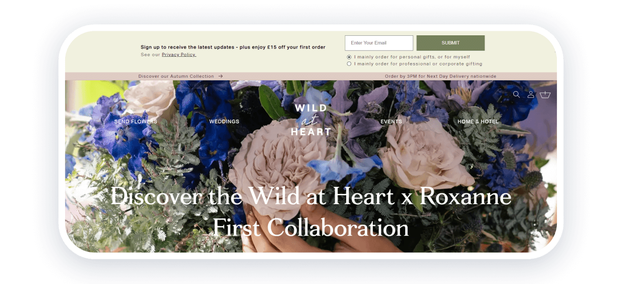 wild at heart best florist websites