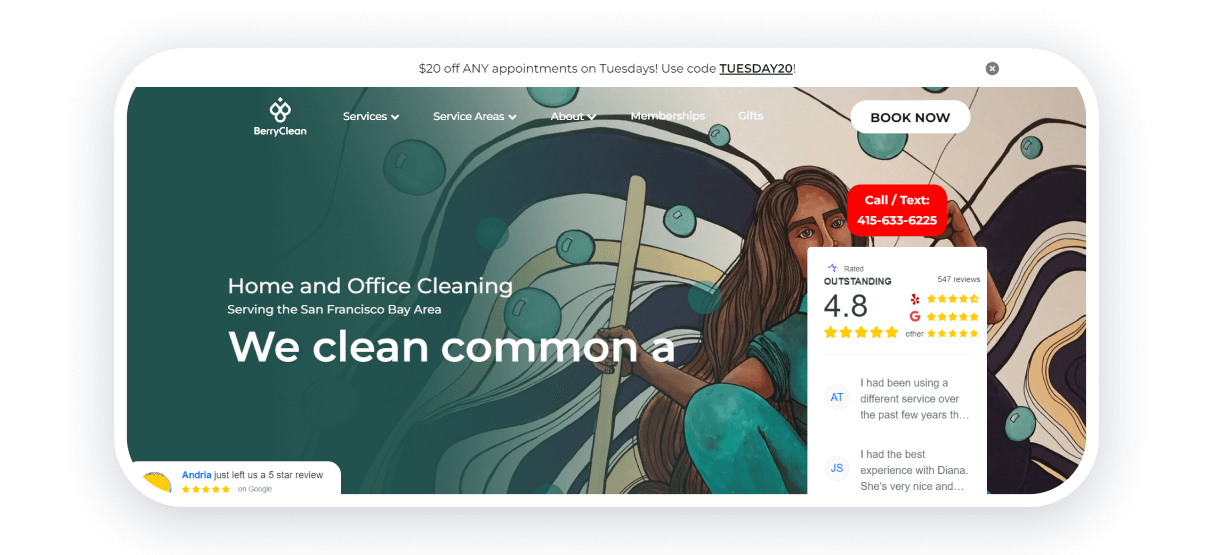 berry clean best cleaning websites