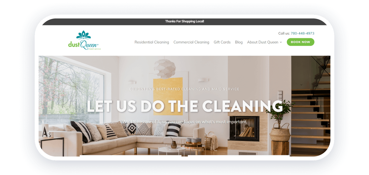dust queen best cleaning websites