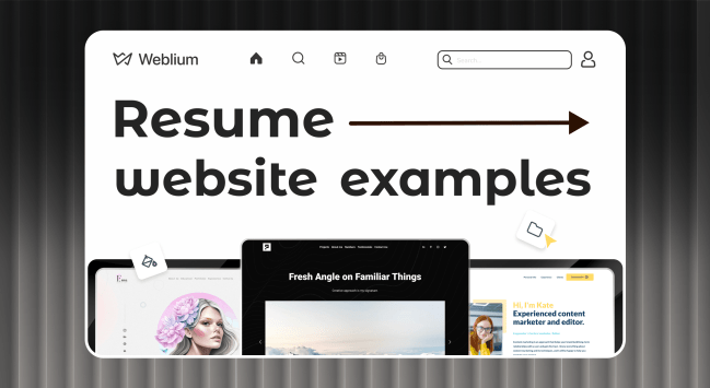Professional and Successful Resume Website Examples
