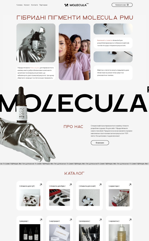 Molecula website preview