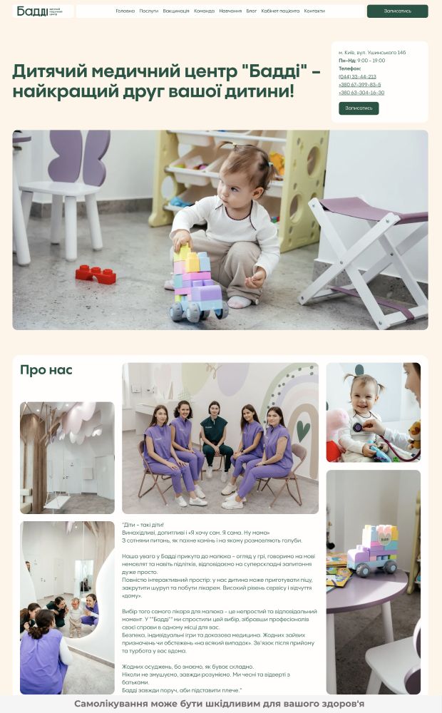 Baddi website preview