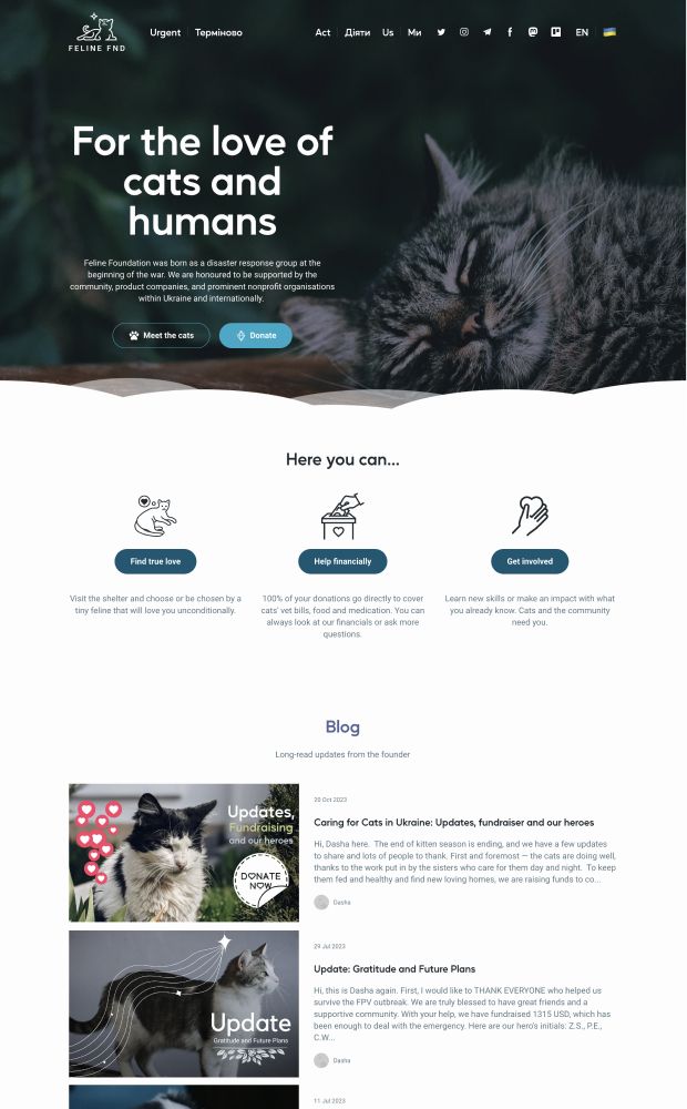 Feline Foundation | Home website preview